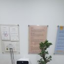 바디핏 요가 이미지