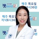 웨스턴 동물의료센터 이미지