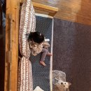 동해자동차병원 이미지