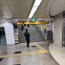 한솔카부분정비 | [서현] 비롬헤어 서현점 한솔쌤에게 뿌리볼륨펌과 카나토클리닉 받고 긴머리 복구 후기~