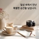 내포 솥뚜껑삼겹살 | 홍성 디지버 내포신도시점 삼겹살 솥뚜껑 고기집