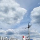 삼미동태탕 네이버블로그
