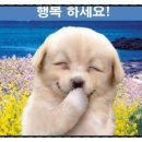 펀댄스교실 이미지