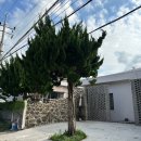 곱들락펜션 | 제주 힐링 여행의 완성, 애월 감성 숙소 소리소길