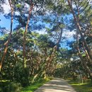 동호숲화장실 이미지