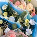 플레르나 이미지