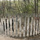 물고기의눈물이호수로 이미지