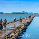 2022-주177 이미지