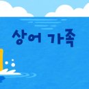 핑크퐁 동요모음 - 반복재생 연속듣기 이미지