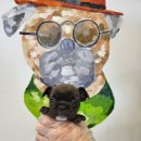 제주 애견 아가야 이미지