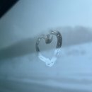 [일본3주살기 #2] 비에이 투어 렛츠고!!! (삿포로 여행, 비에이 버스투어, 여행한그릇, 크리스마스 트리...