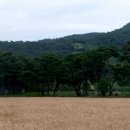 고향마을 이미지