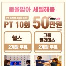 허니머슬짐 이미지