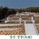 선영아 Daum카페