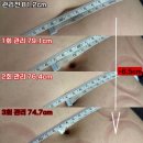 바디리셋 | 대전다이어트 고민 이걸로 끝, 바디리셋 성공 후기