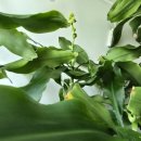 효원모터스 이미지