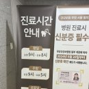 천안 불당동 서울비디치과 임산부 스케일링 임플란트치료