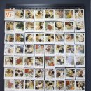 탄벌동-9 이미지