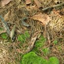 신암모터스 이미지