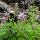 새마을교 이미지