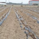 을해농장 이미지