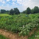 수원-1900 이미지