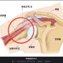 다사랑연합의원 이미지