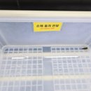 창녕생태곤충원 이미지