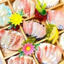 광안리 까치횟집 이미지