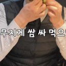 구일육 이미지