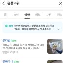 에바다꽃집 | 역북동 김량장역 예쁜 꽃집 추천 '유플라워' 기념일 꽃집(내돈내산 후기)