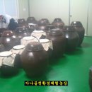 금박산농장 네이버블로그
