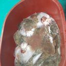 래아수산 이미지