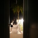 협재둥지 이미지