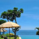 산호2차 A | 베트남 나트랑 여행 준비물 샤워기 필터는 꼭 챙겨가야 하는 이유와, 자유여행 코스 정리!