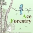 여송목재 이미지