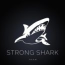 Team Shark 이미지