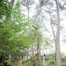 재송소공원 이미지