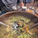 벌집식당 | 청주 남일면 효촌리 맛집 추천 | 벌집식당 칼제비·만두 반반 솔직 후기