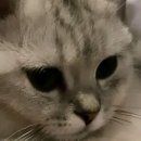 (주)오에스피 이미지