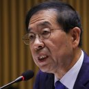 개뼈다구 이미지