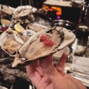 Pearl Shell 티스토리