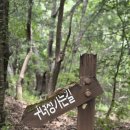 이티봉 | 7살, 6살 아들들과 함께한 충북 이티봉 구녀성 등산기!