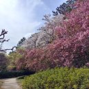 북부시장공중화장실 이미지