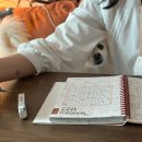 데일리브라운 이미지