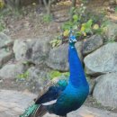 그림책 창의 톡톡 미술교실 | 방과후•돌봄 책놀이 창의융합 독서미술 그림책추천 독후활동