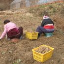 구두마을 이미지