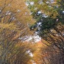 청산도올레펜션 이미지