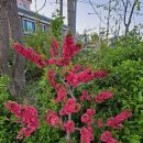 비치파크모텔 이미지