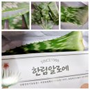 한림알로에교육장 이미지